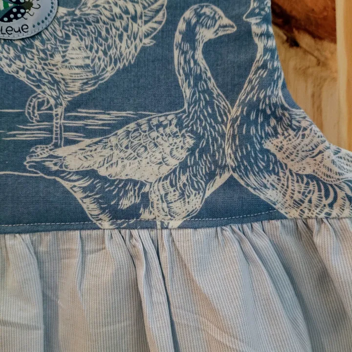 Visuel Robe froncée