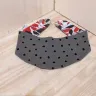Visuel Lot 2 Bavoir / Bandana