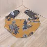 Visuel Lot 2 Bavoir / Bandana