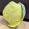 Visuel Bob réversible