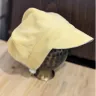 Visuel Casquette gavroche